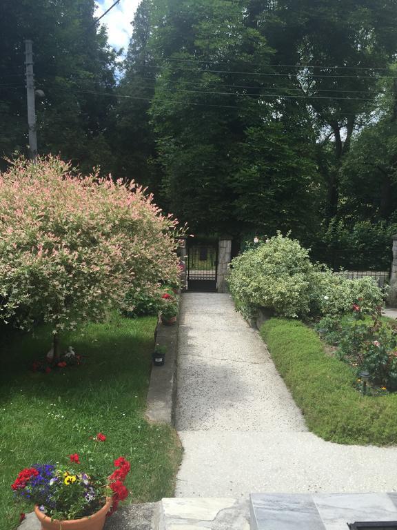 Noclegi Pod Kasztanem Duszniki Zdroj Bagian luar foto