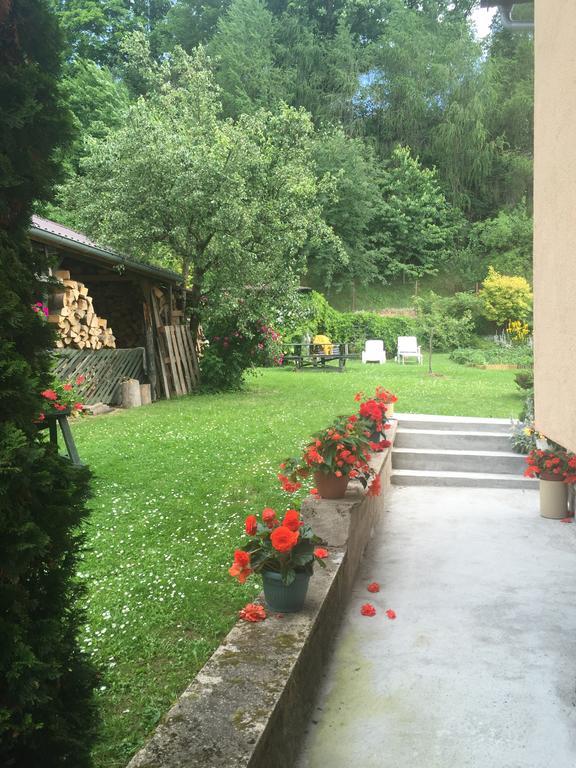 Noclegi Pod Kasztanem Duszniki Zdroj Bagian luar foto